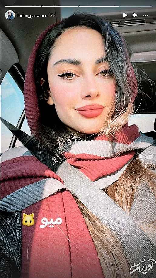 رونمایی ترلان پروانه از ثروت میلیاردی اش + عکس با شاسی بلند 